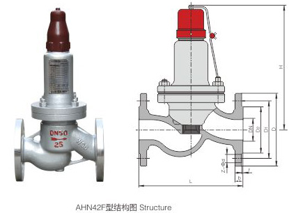 AHN42F型平行式安全回流阀  (1).jpg
